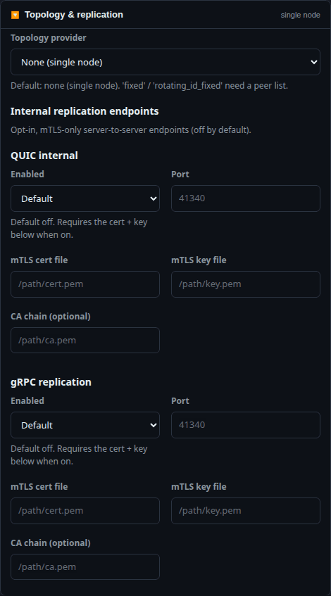 The Topology & replication section: peer list and mTLS internal endpoints.